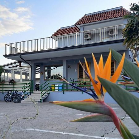 Affittacamere Il Tulipano Beach Formia Ngoại thất bức ảnh